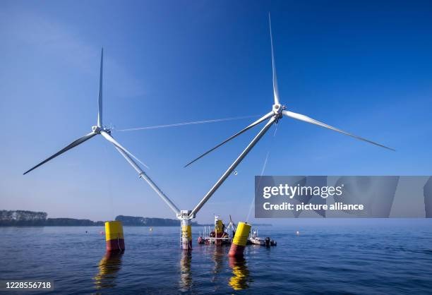 Floating wind farm